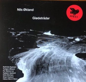 Ökland Nils - Glödetrådar in the group CD / Elektroniskt,World Music at Bengans Skivbutik AB (4060491)