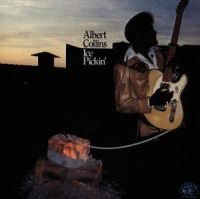 Collins Albert - Ice Pickin in the group CD / Blues,Jazz at Bengans Skivbutik AB (4063771)