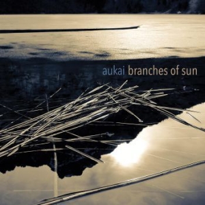 Aukai - Branches Of Sun in the group CD / Elektroniskt,World Music at Bengans Skivbutik AB (4065203)