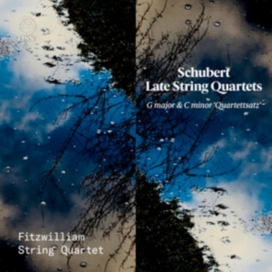 Schubert Franz - Late String Quartets in the group Externt_Lager /  at Bengans Skivbutik AB (4069621)