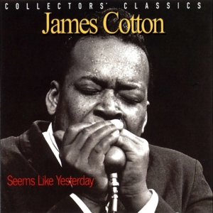 Cotton James - Seems Like Yesterday in the group CD / Blues,Jazz at Bengans Skivbutik AB (4070120)