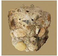 CAR THE GARDEN - Absence in the group CD / K-Pop at Bengans Skivbutik AB (4070842)