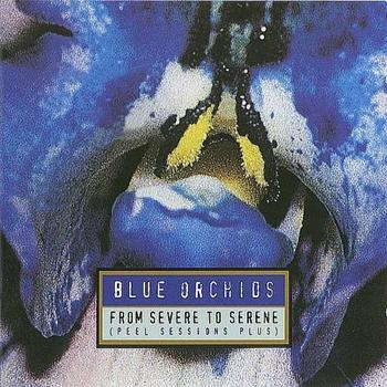 Blue Orchids - From To Severe To Serene in the group CD / Bestsellers at Bengans Skivbutik AB (4073182)