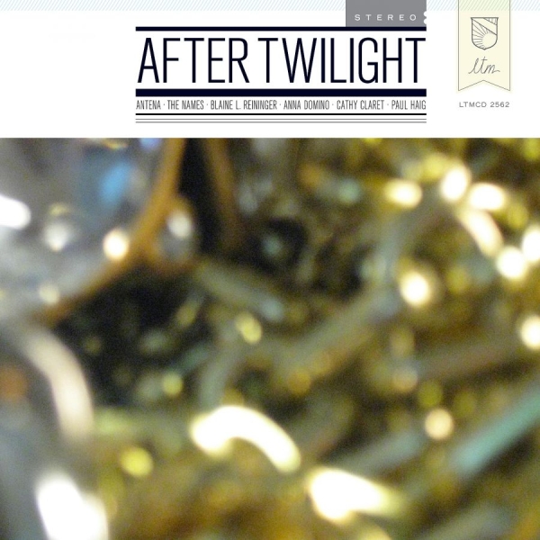 Various Artists - After Twilight in the group CD / Bestsellers at Bengans Skivbutik AB (4073207)