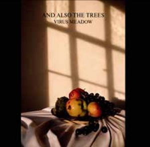 And Also The Trees - Virus Meadow in the group VINYL / Rock at Bengans Skivbutik AB (4077157)