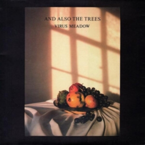 And Also The Trees - Virus Meadow in the group CD / Pop-Rock at Bengans Skivbutik AB (4077301)