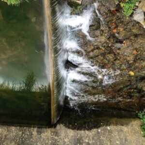 Jessica Moss - Phosphenes in the group CD / Pop-Rock at Bengans Skivbutik AB (4078465)