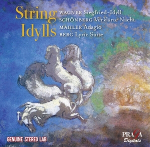 V/A - String Idylls in the group CD / Klassiskt,Övrigt at Bengans Skivbutik AB (4080440)