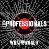 Professionals - What In The World in the group VINYL / Pop-Rock at Bengans Skivbutik AB (4086659)