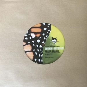 Arvidson & The Butterflies - Blank Season in the group VINYL / Pop-Rock,Reggae at Bengans Skivbutik AB (4087997)