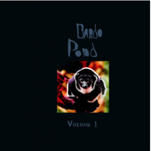 Bardo Pond - Volume 1 in the group OUR PICKS / Record Store Day / RSD-21 at Bengans Skivbutik AB (4091092)