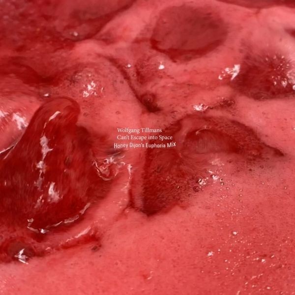 Tillmans Wolfgang - Can't Escape Into Space-Honey Dijon in the group VINYL / Pop at Bengans Skivbutik AB (4095103)