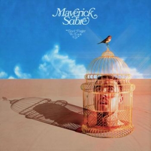 Maverick Sabre - Don't Forget To Look Up in the group CD / RNB, Disco & Soul at Bengans Skivbutik AB (4095146)