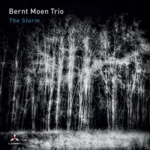 Brent Moen Trio - Storm in the group CD / Jazz at Bengans Skivbutik AB (4095174)