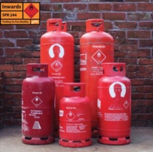 Inwards - Feeling So Fun Reality in the group OTHER / Övrigt /  at Bengans Skivbutik AB (4095850)