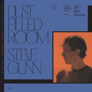 Bill Fay & Steve Gunn - Dust Filled Room in the group VINYL / Rock at Bengans Skivbutik AB (4096593)