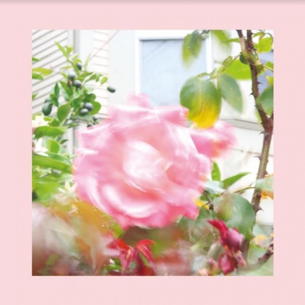 Reds Pinks And Purples (Green) - Summer At Land's End in the group VINYL / Bestsellers at Bengans Skivbutik AB (4098088)