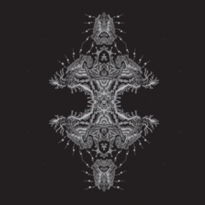 Pfirter - Altered States in the group VINYL / Pop-Rock at Bengans Skivbutik AB (4108662)