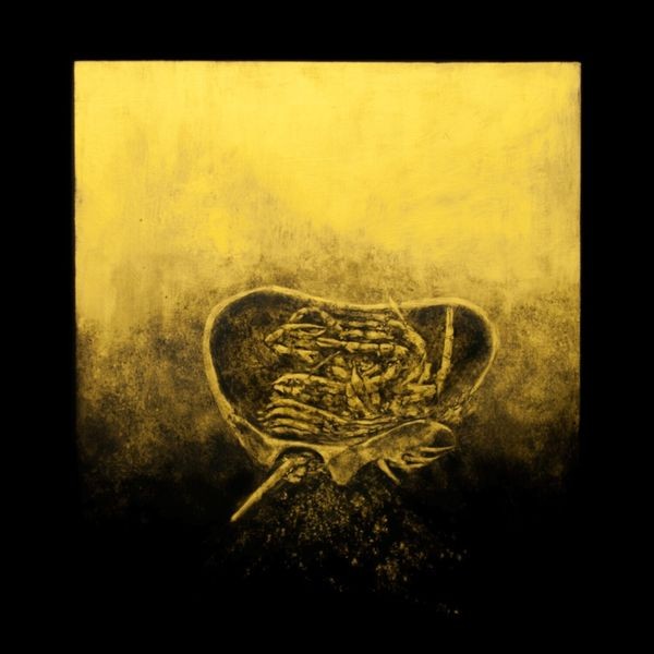 Luna Honey - Ballast in the group VINYL / Rock at Bengans Skivbutik AB (4110121)