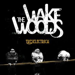 Wake Woods - Treselectrica in the group CD / Rock at Bengans Skivbutik AB (4112163)