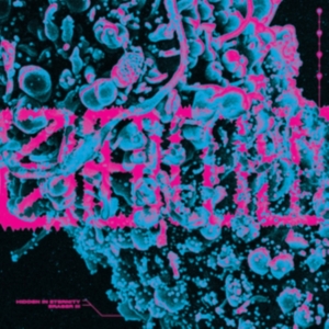 S.H.I.T. - Hidden In Eternity / Eraser Iii in the group VINYL / Pop-Rock at Bengans Skivbutik AB (4114810)