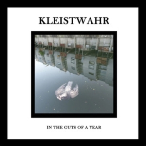 Kleistwahr - In The Guts Of A Year in the group CD / Pop-Rock at Bengans Skivbutik AB (4114863)