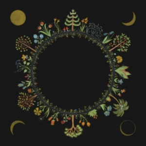 Stevenson Laura - Wheel in the group OTHER / Övrigt /  at Bengans Skivbutik AB (4117537)