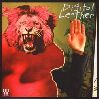 Hussy/Digital Leather - Split Lp in the group VINYL / Rock at Bengans Skivbutik AB (4117916)