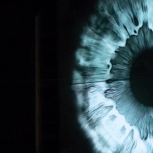 Hems - Chaotic Affair in the group VINYL / Pop-Rock at Bengans Skivbutik AB (4118565)