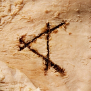 Casselsá - Gut Feeling in the group CD / Rock at Bengans Skivbutik AB (4119874)