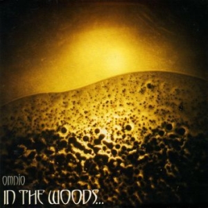 In The Woods - Omnio (Black Vinyl 2 Lp) in the group VINYL / Hårdrock at Bengans Skivbutik AB (4120121)