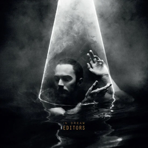 Editors - In Dream (Clear Vinyl) in the group VINYL / Pop-Rock at Bengans Skivbutik AB (4125640)