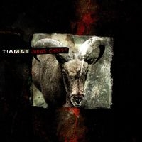 Tiamat - Judas Christ (Gold Vinyl) in the group VINYL / Hårdrock at Bengans Skivbutik AB (4126925)
