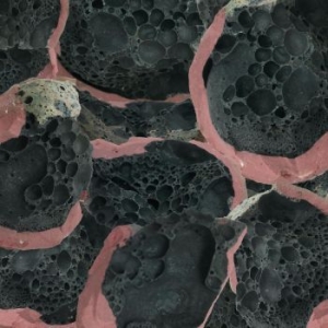 Eric Chenaux - Say Laura in the group VINYL / Jazz at Bengans Skivbutik AB (4127016)