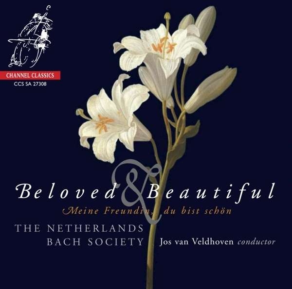 Various - Beloved & Beautiful in the group Externt_Lager /  at Bengans Skivbutik AB (4127361)