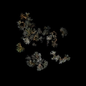 Deathcrash - Return in the group VINYL / Rock at Bengans Skivbutik AB (4128515)