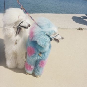 Exek - Advertise Here in the group VINYL / Pop-Rock at Bengans Skivbutik AB (4128570)