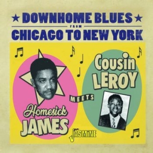 Homesick James Meets Cousin Leroy - Downhome Blues From Chicago To New in the group CD / Jazz/Blues at Bengans Skivbutik AB (4131553)