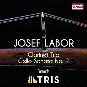 Labor Josef - Clarinet Trio Cello Sonata No. 2 in the group Externt_Lager /  at Bengans Skivbutik AB (4132885)