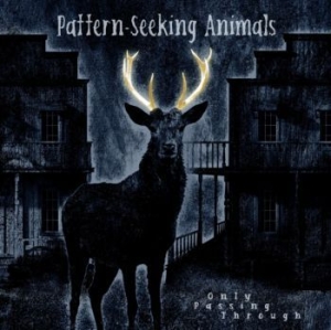 Pattern-Seeking Animals - Only Passing Through in the group VINYL / Hårdrock,Pop-Rock at Bengans Skivbutik AB (4132969)