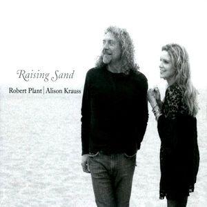 Alison Krauss Robert Plant - Raising Sand in the group OTHER / CDV06 at Bengans Skivbutik AB (4134659)