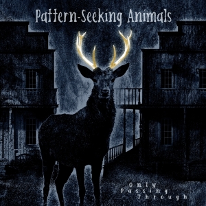 Pattern-Seeking Animals - Only Passing Through in the group OTHER / Övrigt /  at Bengans Skivbutik AB (4136985)