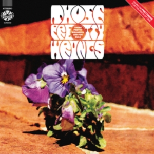 Those Pretty Wrongs - Those Pretty Wrongs/Zed For Zulu in the group OTHER / Övrigt / at Bengans Skivbutik AB (4137146)