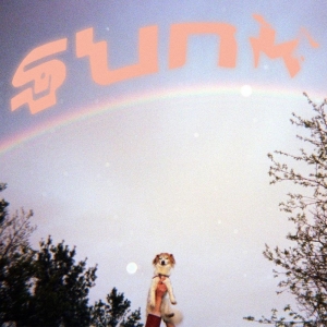 Babehoven - Sunk in the group CD / Pop-Rock at Bengans Skivbutik AB (4139242)
