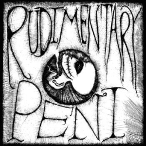 Rudimentary Peni - Rudimentary Peni in the group VINYL / Pop-Rock at Bengans Skivbutik AB (4139585)
