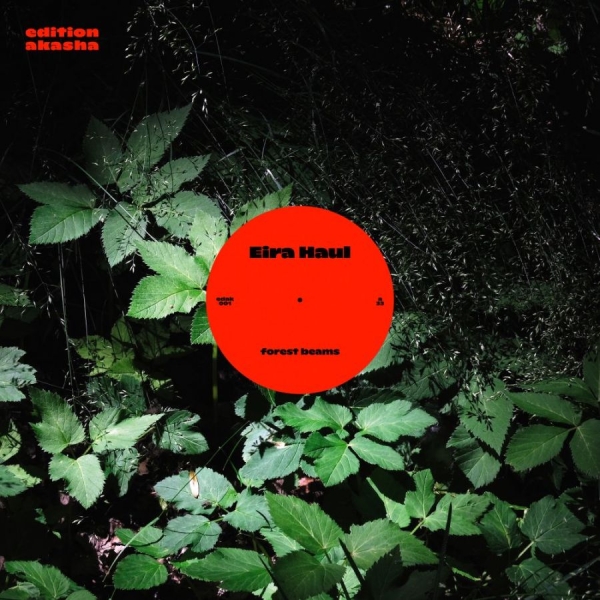 Eira Haul - Forest Beams in the group VINYL / Bestsellers at Bengans Skivbutik AB (4142431)
