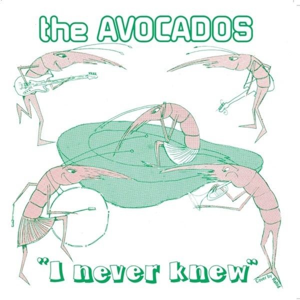 Avocados - I Never Knew in the group VINYL / Pop at Bengans Skivbutik AB (4143142)