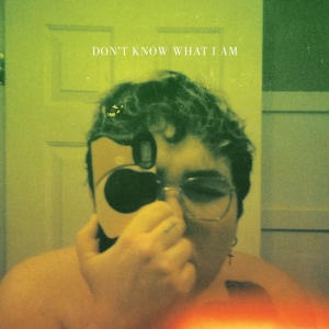 Alien Boy - Don't Know What I Am (Coke Bottle C in the group VINYL / Pop-Rock at Bengans Skivbutik AB (4143151)