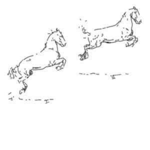 Hofmann Leo - Kapriole in the group VINYL / Pop-Rock at Bengans Skivbutik AB (4143161)