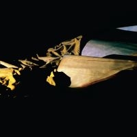 Holy Other - Lieve in the group VINYL / Pop at Bengans Skivbutik AB (4143346)